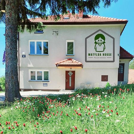 Апартаменты Matylda House Краков Экстерьер фото